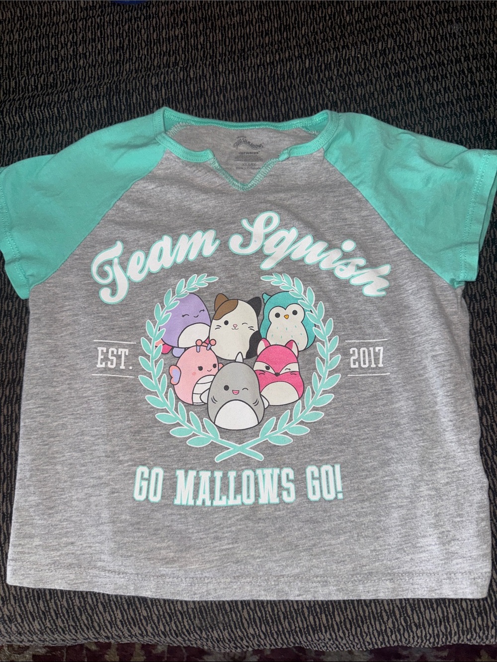 Squishmallows Gray Tee with Mint Raglan Sleeves - Team Squish Graphic